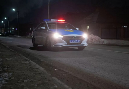 Семейде мас жүргізушіні тоқтату үшін оқ атуға тура келді