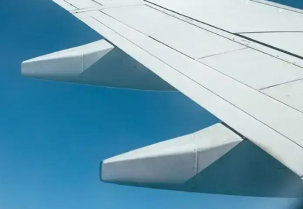 Алматыға бара жатқан екі жолаушы ұшақтан түсірілді