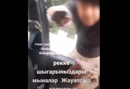 Көліктің терезесін сындырған: Алматы облысында екі жүргізуші жолды бөлісе алмады