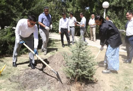 ​ҚР ПРЕЗИДЕНТІНІҢ КЕҢЕСШІСІ ТҮРКІСТАНДАҒЫ ЖҰМЫСТАРДЫ ОҢ БАҒАЛАДЫ