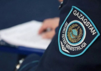 "Шындыққа жанаспайды": Таразда соққыға жығылған қызға қатысты полиция түсініктеме берді