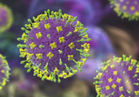 Үндістанда қауіпті вирус тарай бастады