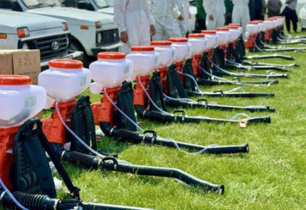 ТҮРКІСТАН: Аса қауіпті зиянкестермен күрес биыл қалай өтеді?