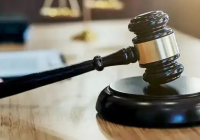 Шымкентте балаларына мысықтың етін жегізген емшіге сот үкімі шықты