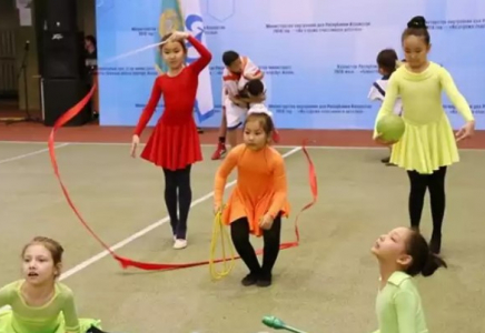 Artsport бағдарламасы жаңа форматта жалғасады - министр
