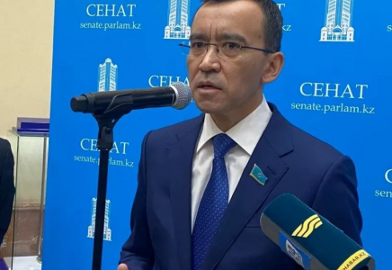 Мәулен Әшімбаев даулы ток-шоу туралы: 