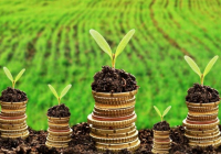 АӨК-ті жеңілдетілген несиелеу бағдарламасы тұрақты нәтижелер көрсетуде