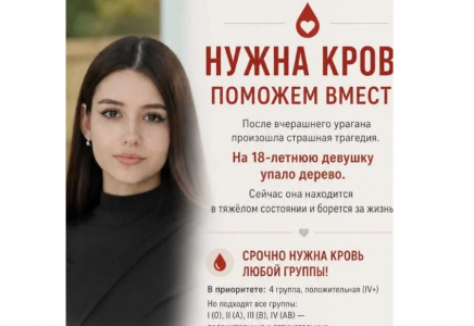 Алматыда қатты дауылдан 18 жастағы қыздың үстіне ағаш құлап, ауыр халде жансақтау бөліміне түсті