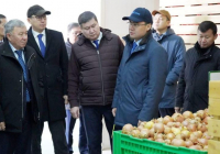 ТҮРКІСТАН: Ауыл шаруашылығы өнімдерін терең өңдеуге бағытталған шара өтті