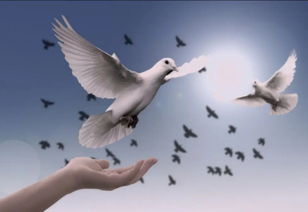 Әлем елдерін Қазақстаннан үлгі алуға шақырамыз – Дүниежүзілік ислам лигасы