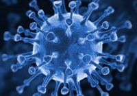 Ресейде коронавирустың жаңа мутациясы тіркелді