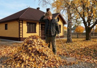 ​Талдан түскен ЖАПЫРАҚТАРДЫ өртемей, ПАЙДАҒА ЖАРАТУҒА болады