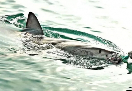 Ұлытау облысында балық аулауға кетіп, ұшты-күйлі жоғалған алты адам аман-есен табылды