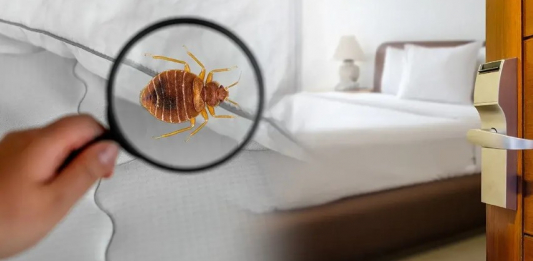 Алматылықтар қандаладан құтылу үшін eOtinish арқылы өтініш бере алады