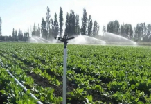 ТҮРКІСТАН: Таулы аймақта су үнемдеу технологиясы ендіріліп жатыр