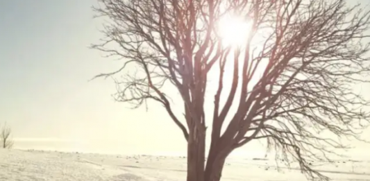 Қазақстанда күн күрт суытып, аяз -30 градусқа дейін жетеді