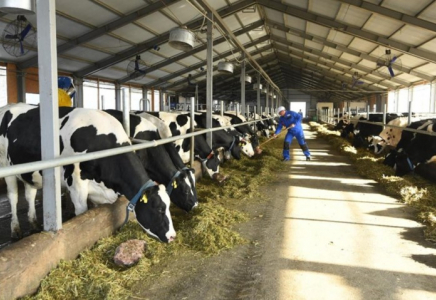 ҚР АШМ Аграрлық несие корпорациясымен бірлесіп бордақылау алаңдарына жеңілдетілген несие беру бағдарламасын іске қосты