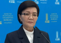 Еңбек министрі “аутист балаларды өлтіруге шақырған“ блогердің сөзіне жауап берді