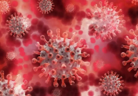 ​Ұлыбританияда қауіпті вирустың жаңа штамы табылды