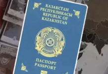 Қазақстанда азаматтықтан айыру себептерін Конституцияда бекітілмек