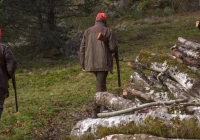 Жануарлар мен құстарды аулау: ережелерге өзгерістер енгізілді