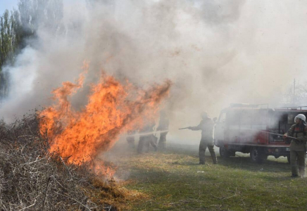 Петропавлда қамысты алқап өртенді
