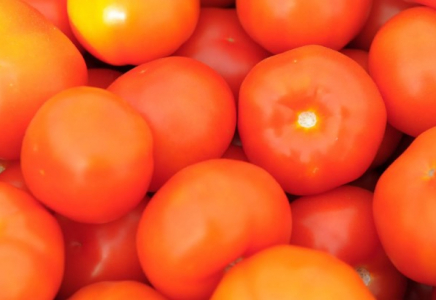 Қазақстанға әкелінген қызанақтан қауіпті вирус анықталды