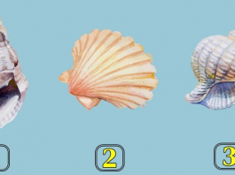 ​КҮЙЗЕЛІСТЕ ЖҮРГЕН ЖОҚСЫЗ БА?