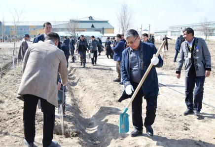 ТҮРКІСТАН: Отырарда 500 түп көшет отырғызылды
