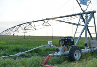 Түркістан облысында күріш егістігіне жаңа технология енгізіліп жатыр