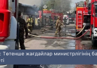 Астанадағы екі жеке тұрғын үйде ірі өрт шықты