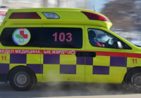 Қарағандыда бұтақ құлап, бес жасар бала қаза тапты