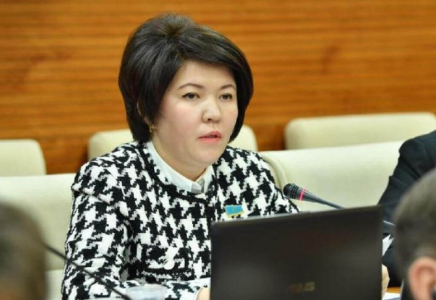 Мәжіліс депутаттары «баспасөз картасы» ұғымын енгізуге қарсы – Сүлейменова