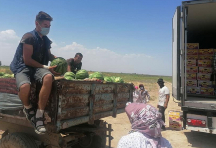 Түркістандық диқандар экспортқа 25 тонна қарбыз шығарды