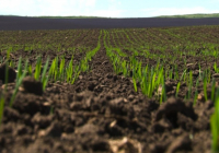 Үкіметте шаруаларға түсетін қаржылық жүктемені азайту шаралары қаралды