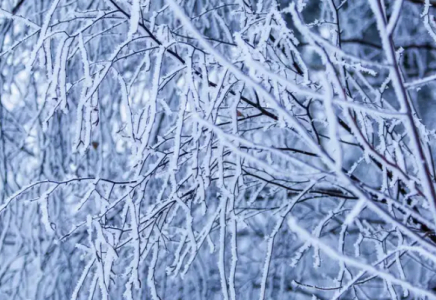 Рекордтық аяз: ШҚО ауылында термометр -56 градусқа дейін төмендеді