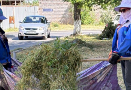 ​ТАЗА ҚАЗАҚСТАН: Еңбекші ауданында сенбілік өтті