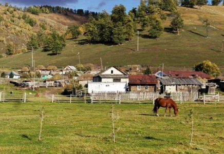 Ауыл әйелдеріне қандай қолдау көрсетіледі