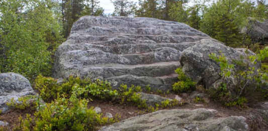 Абай облысында жоғалған шетел азаматының мәйіті табылды