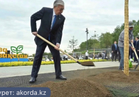 Тоқаев Президент саябағының аумағында ағаш екті