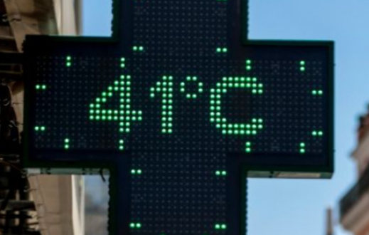 Жаһандық жылыну 2050 жылға қарай жүздеген мың адамның өмірін қиюы мүмкін