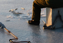 Жетісу облысында балықшы адасып кетті