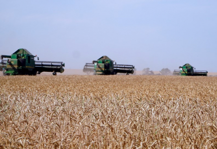 Ақмола облысы астықтың жалпы жиналымы бойынша елімізде көшбасшылар қатарына шықты