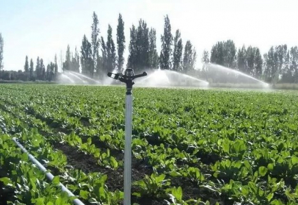 ТҮРКІСТАН: Таулы аймақта су үнемдеу технологиясы ендіріліп жатыр