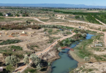 ТҮРКІСТАН: 50 гектар аумақта ерекше экопарк салынып жатыр