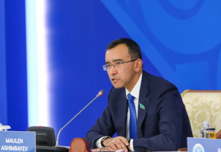 ​Мәулен Әшімбаев Конституция күнінің өзгеруіне қатысты пікір айтты