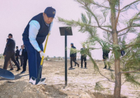 ТҮРКІСТАН: Бас мүфти және облыс әкімінің қатысуымен ағаш егу акциясы өтті