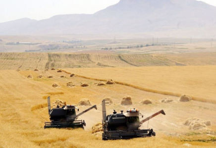 Ауыл шаруашылығы мамандарының мәртебесін көтеру - ауыл болашағының кепілі