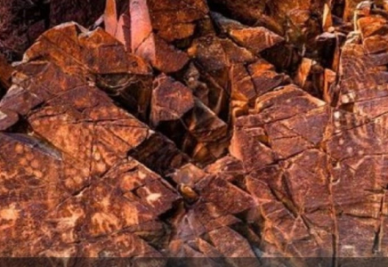 Алматыда «Таңбалы: Бабалар коды» атты халықаралық көрме ашылады