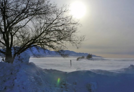 Ақмола облысында жеті баланың әкесі екі жарым айдан бері табылмай жатыр